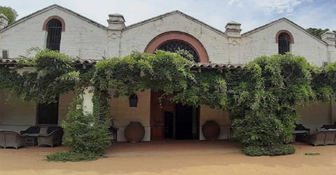 Excursão privada aos vinhedos de Errazuriz e San Esteban saindo de Santiago